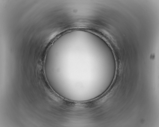 X0000089831449200707262014