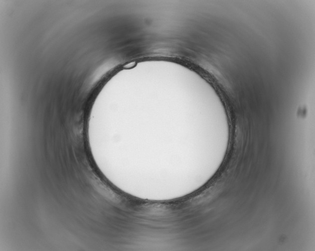 X0000089831450200707262014