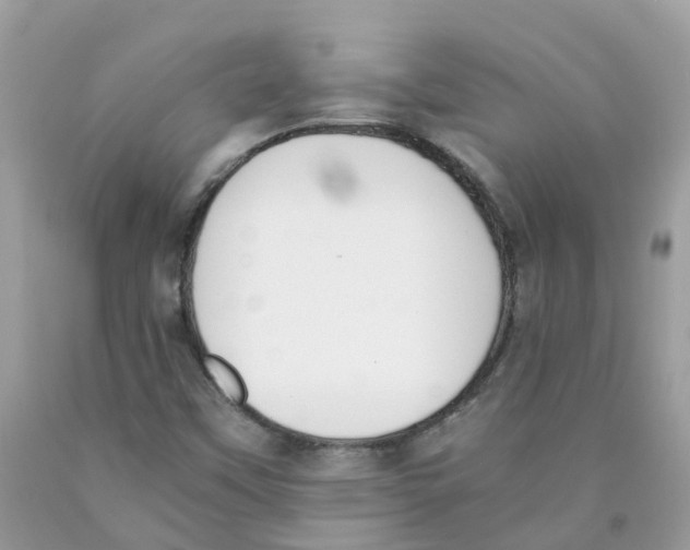 X0000089831451200707262014