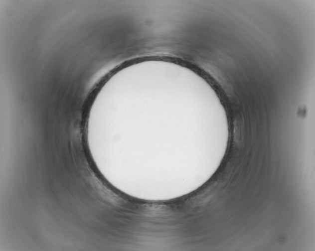 X0000089831452200707262014