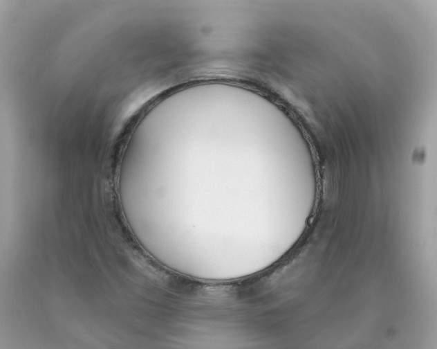 X0000089831453200707262014