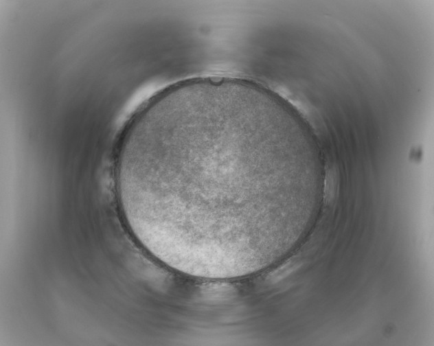 X0000089831454200707262014