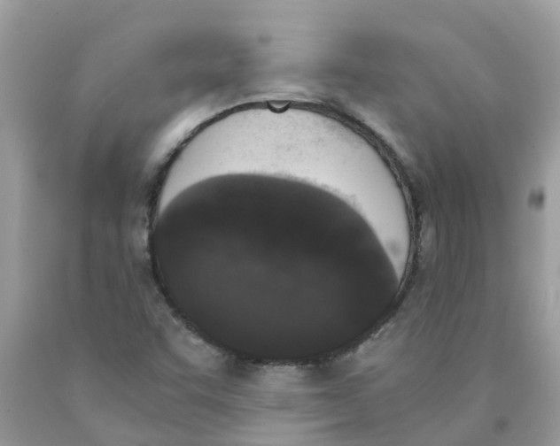 X0000089831455200707262014