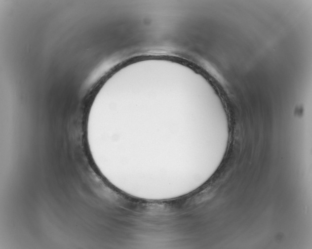 X0000089831456200707262014