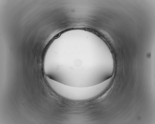 X0000089831457200707262014