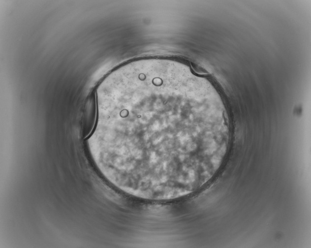 X0000089831459200707262014