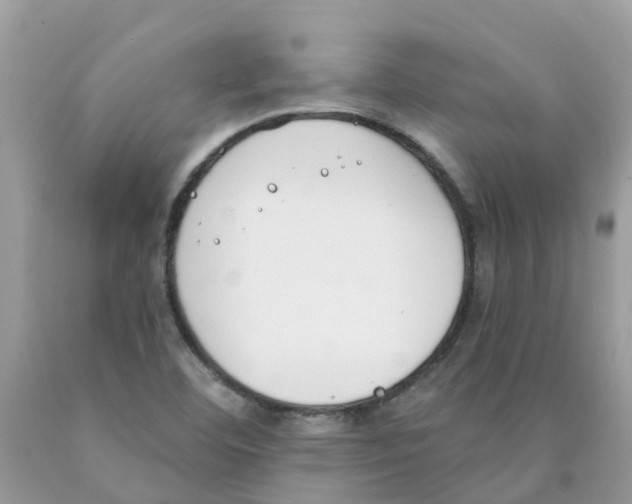 X0000089831460200707262014