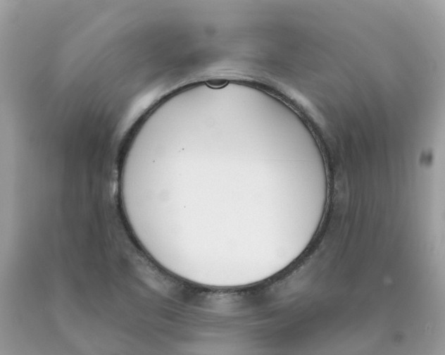 X0000089831461200707262014