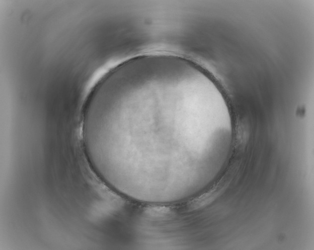 X0000089831462200707262014