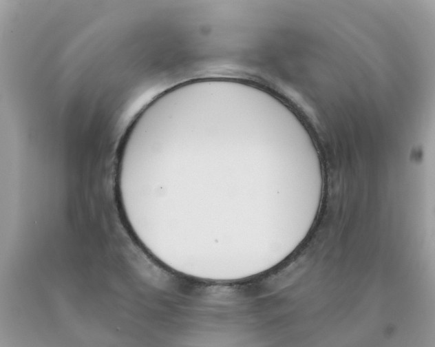 X0000089831463200707262014