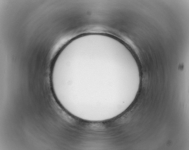 X0000089831464200707262014