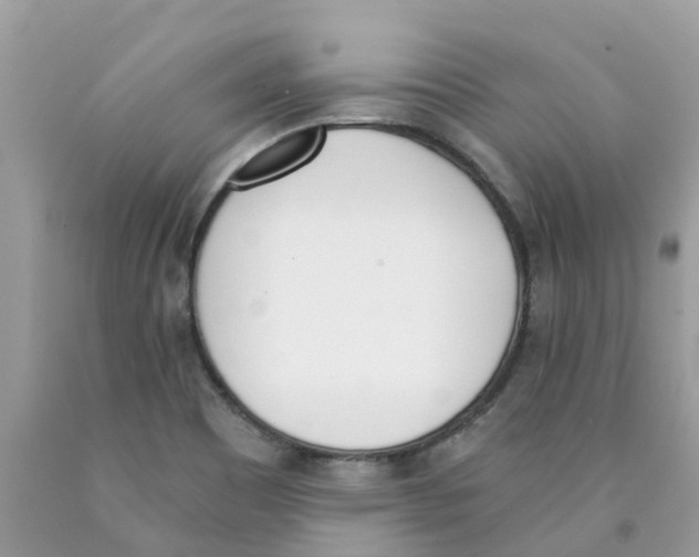 X0000089831465200707262014