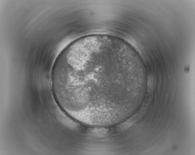 X0000089831466200707262014