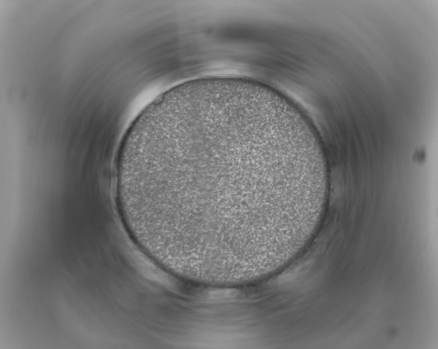 X0000089831467200707262014