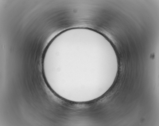 X0000089831468200707262014