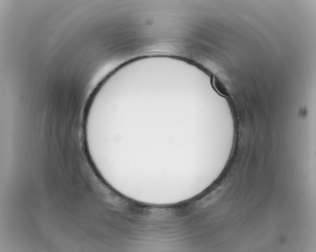 X0000089831469200707262014