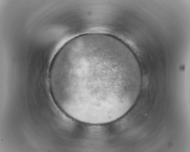 X0000089831470200707262014