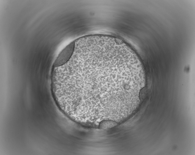 X0000089831471200707262014