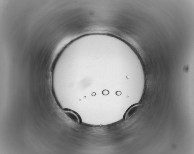 X0000089831472200707262013