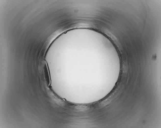 X0000089831473200707262013