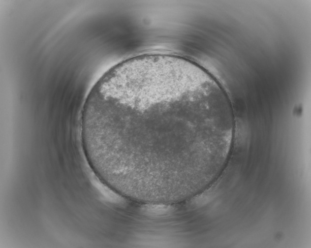 X0000089831474200707262013