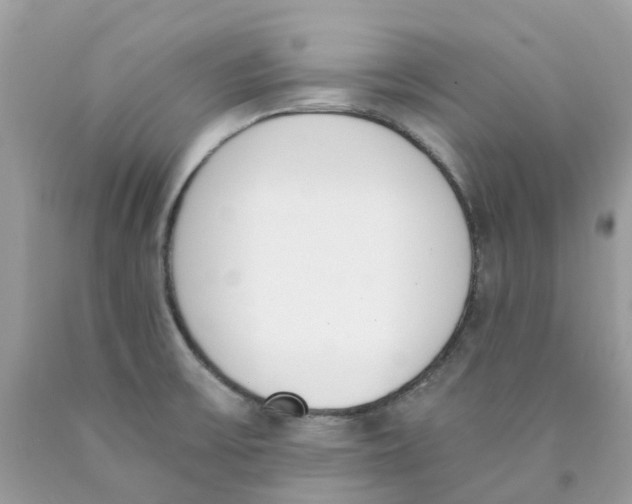 X0000089831475200707262013