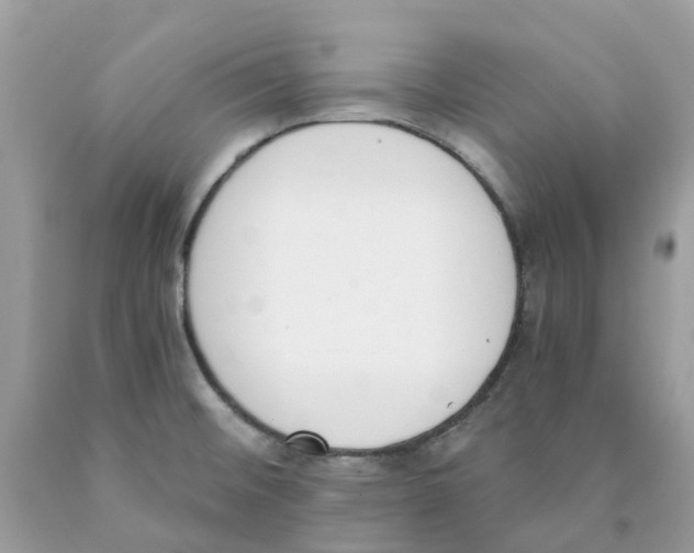 X0000089831476200707262013