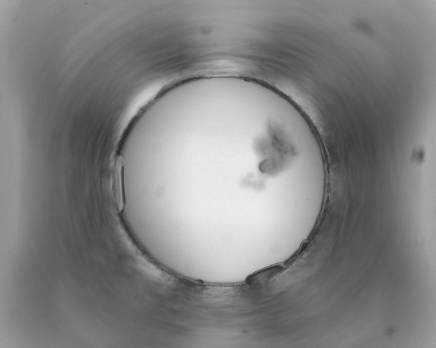 X0000089831477200707262013