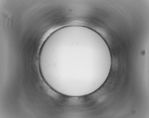 X0000089831478200707262013