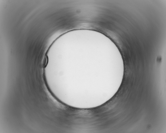 X0000089831479200707262013