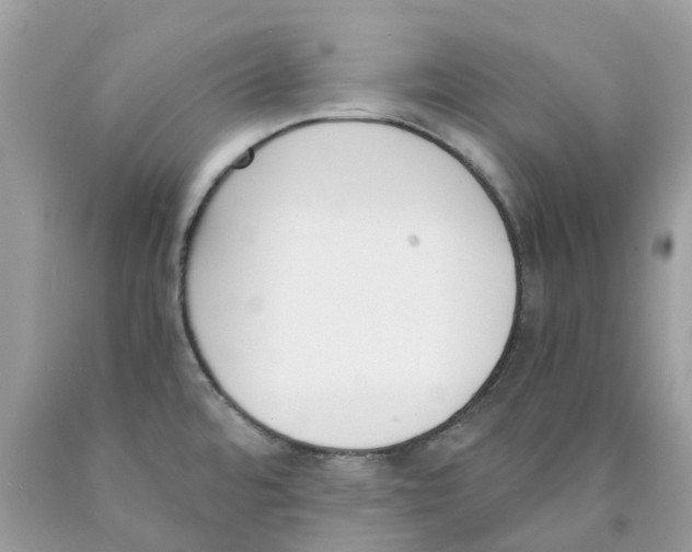 X0000089831480200707262013