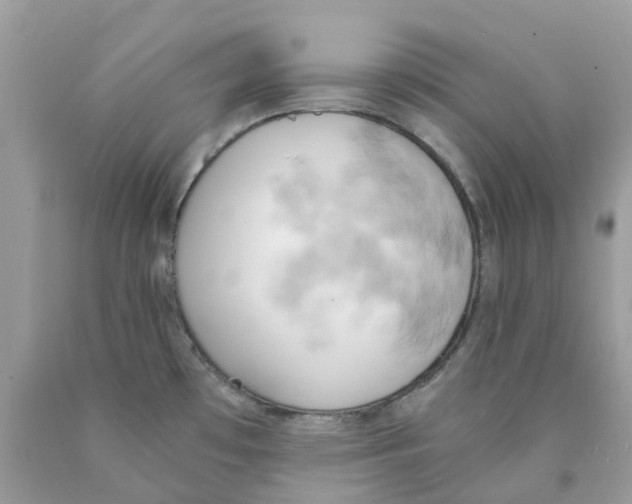 X0000089831481200707262013