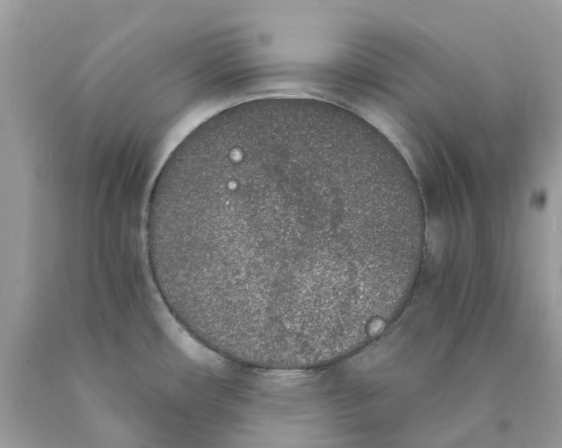 X0000089831482200707262013