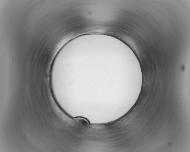 X0000089831483200707262013