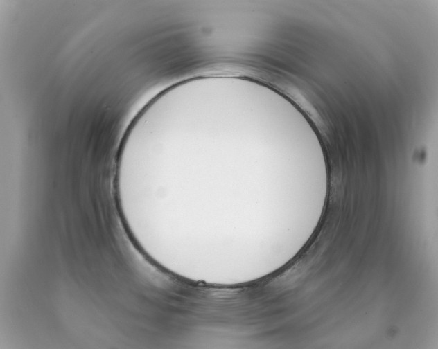 X0000089831484200707262013