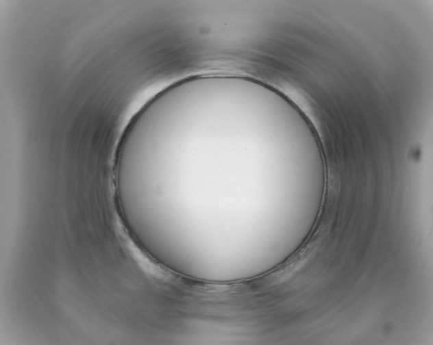 X0000089831485200707262013