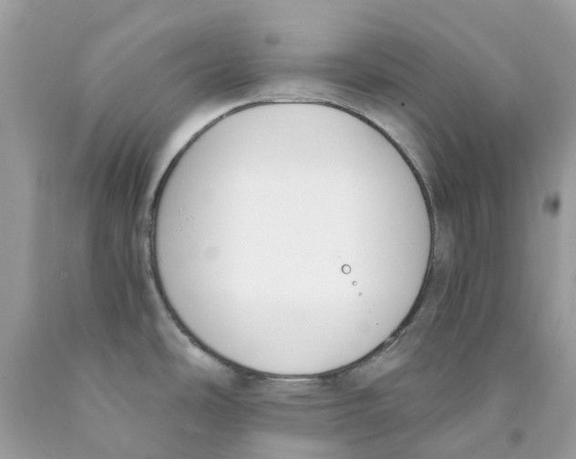 X0000089831486200707262013