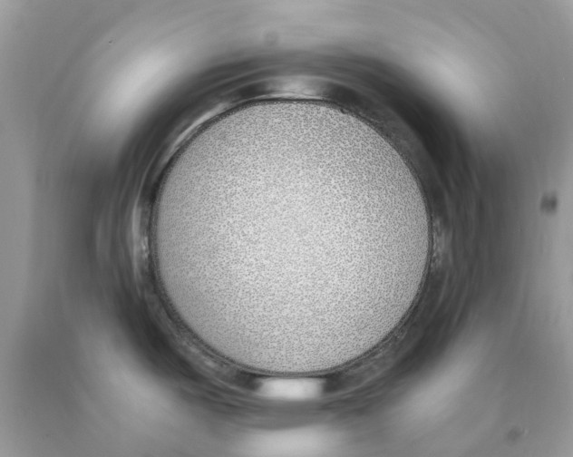 X0000089831487200707262013