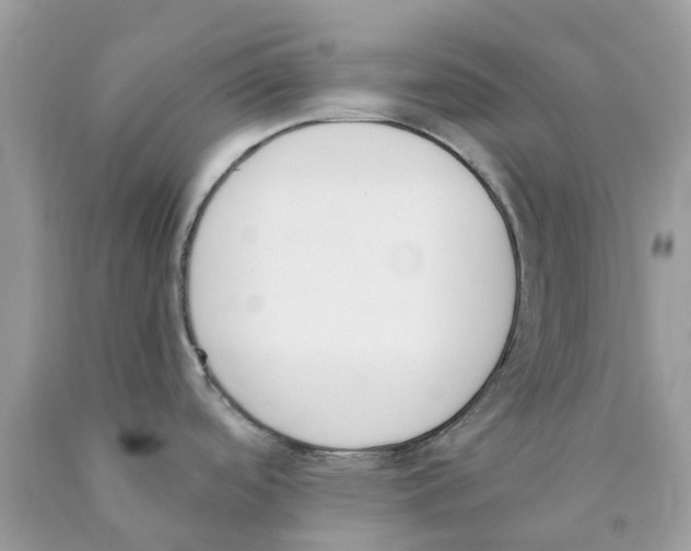 X0000089831488200707262013