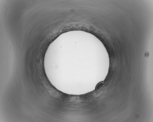 X0000089831489200707262013