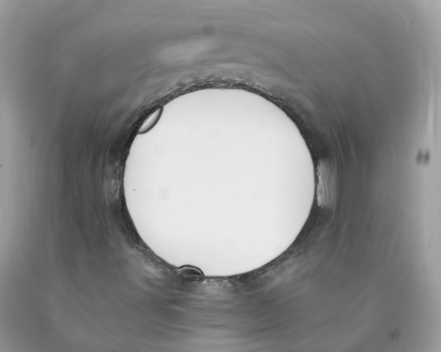 X0000089831491200707262013