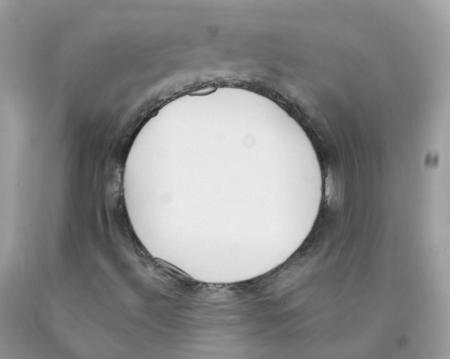 X0000089831492200707262013