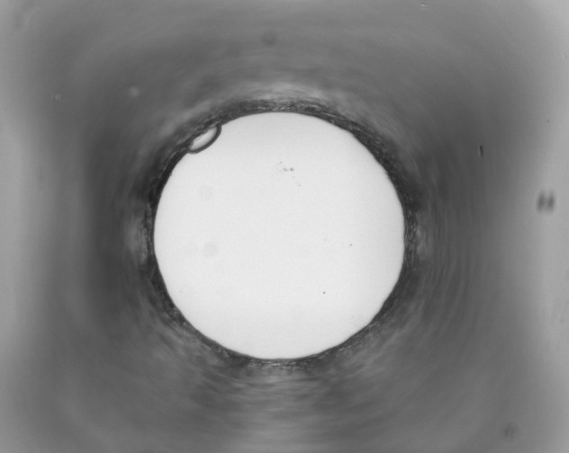 X0000089831493200707262013