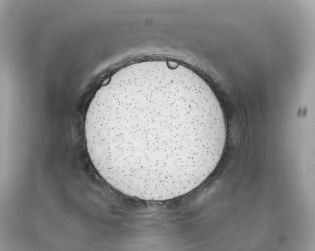 X0000089831494200707262013