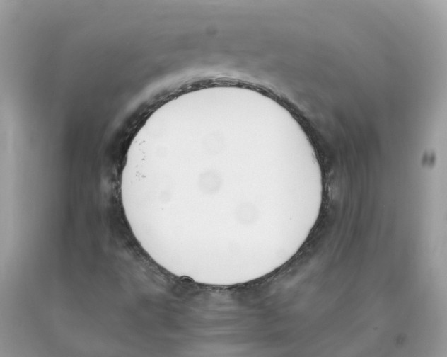 X0000089831495200707262013