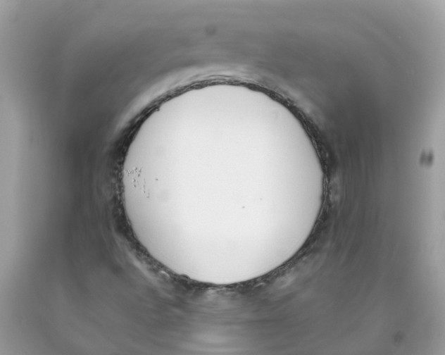 X0000089831496200707262013