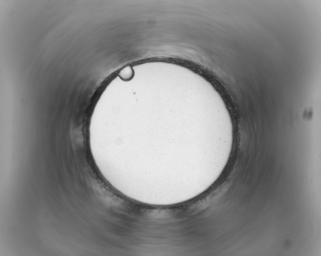 X0000089831497200707262013