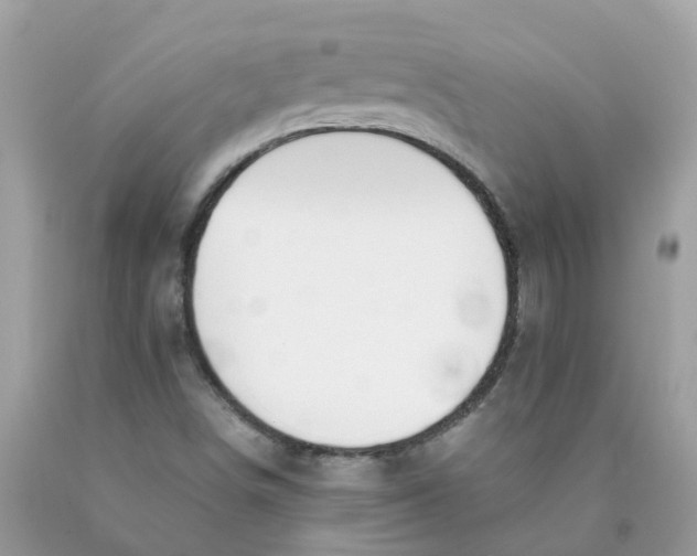 X0000089831498200707262013