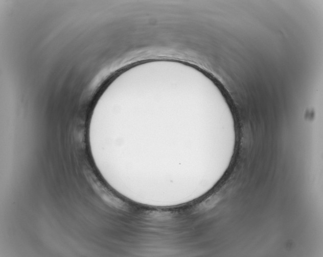 X0000089831499200707262013