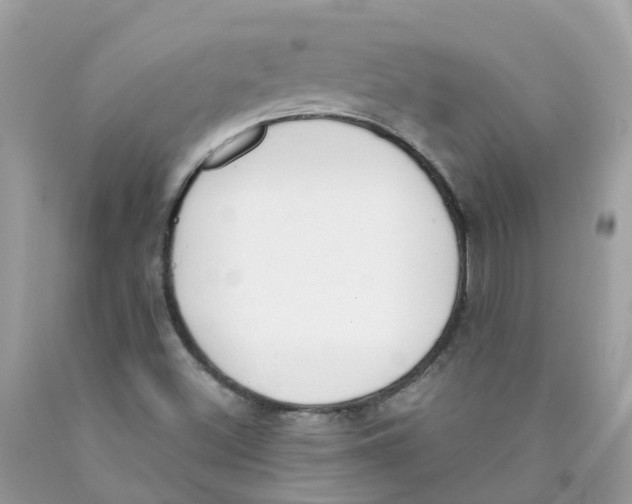 X0000089831500200707262013